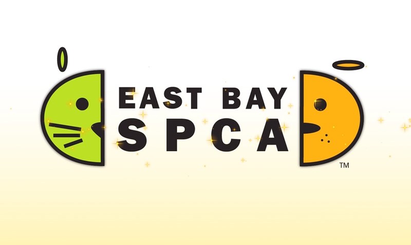 0815 East Bay SPCA