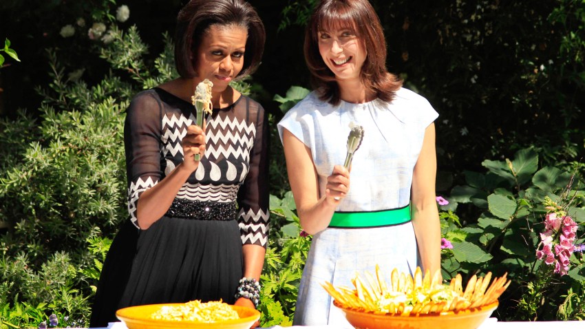 mobama uk tracy reese