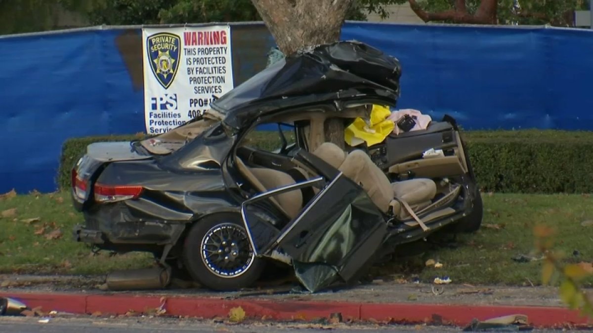 Driver Dies After Vehicle Crashes Into Tree in San Jose – NBC Bay Area