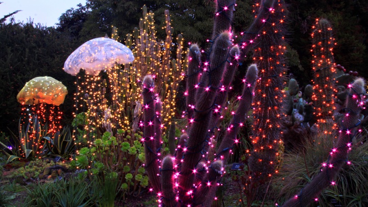 Mendocino Coast Botanical Gardens To Gorgeously Glimmer Nbc Bay Area