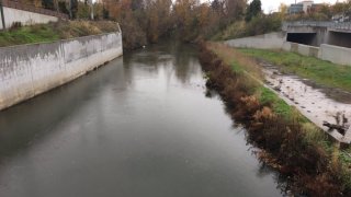 Light Rain Along Guadalupe River