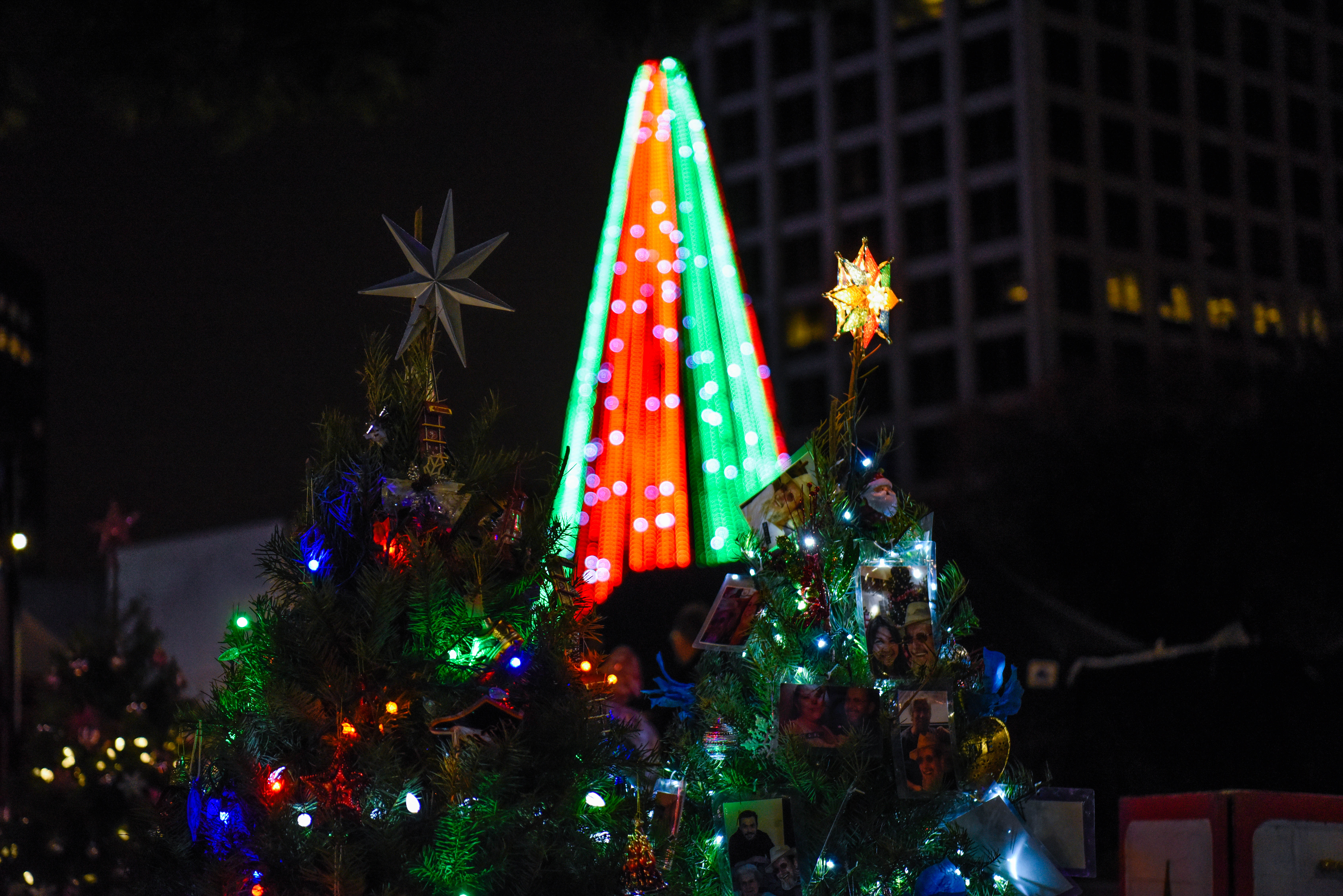 Hundreds of Christmas trees decorated by local schools and organizations are on display at Christmas in the Park in downtown San Jose. (Dec. 6, 2019)