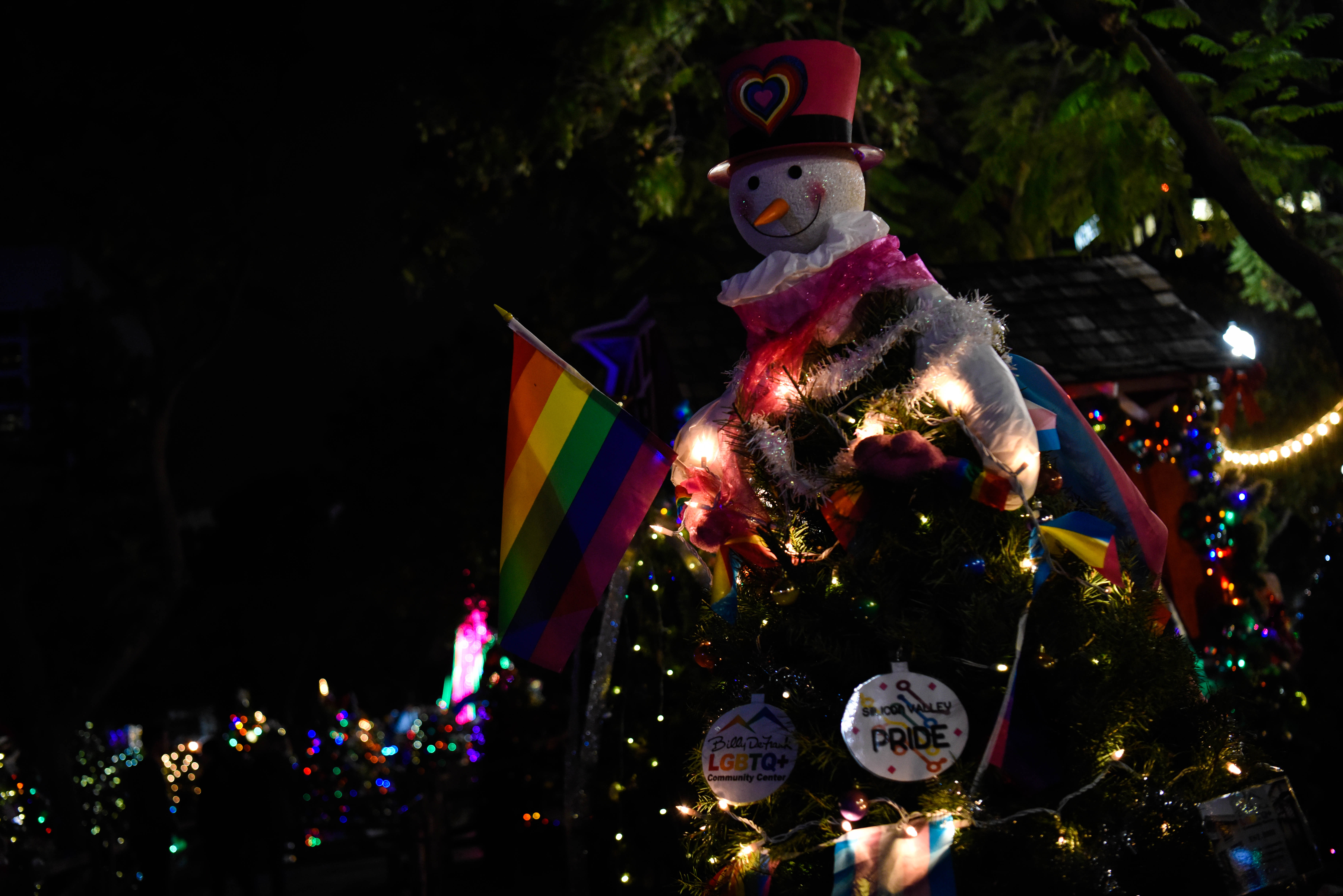 Hundreds of Christmas trees decorated by local schools and organizations like Silicon Valley Pride are on display at Christmas in the Park. (Dec. 6, 2019)