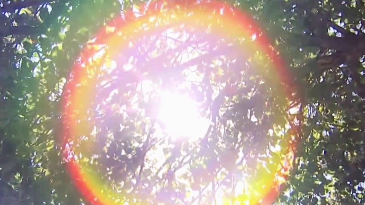 Heat Wave Leaves Bay Area Residents Scrambling for Ways to Cool Down ...