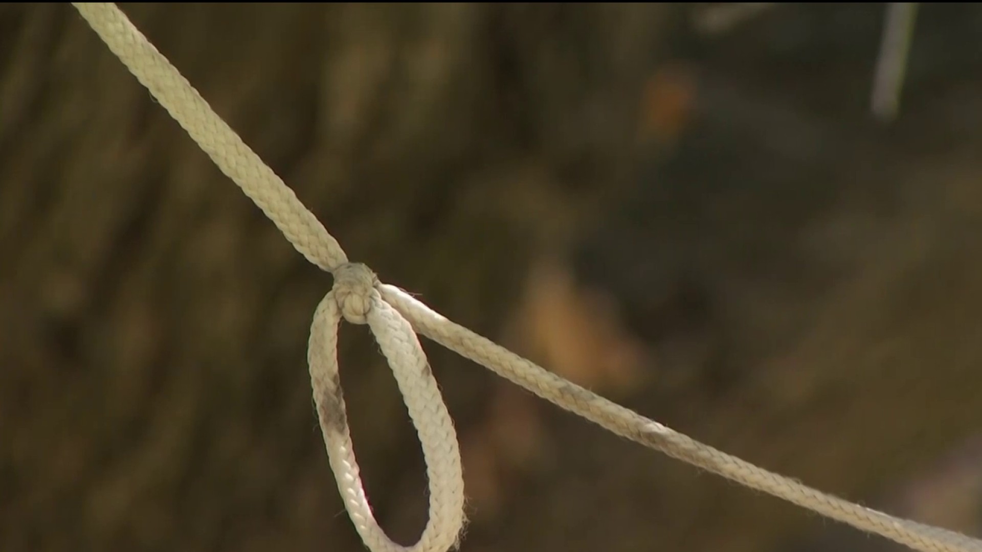 Nooses' in Oakland park were exercise aids, man says