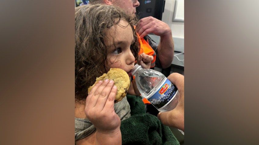 2yo-Found-Mich