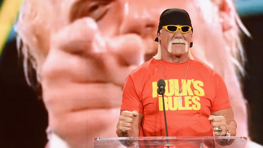 482299157DK00010_WrestleMan