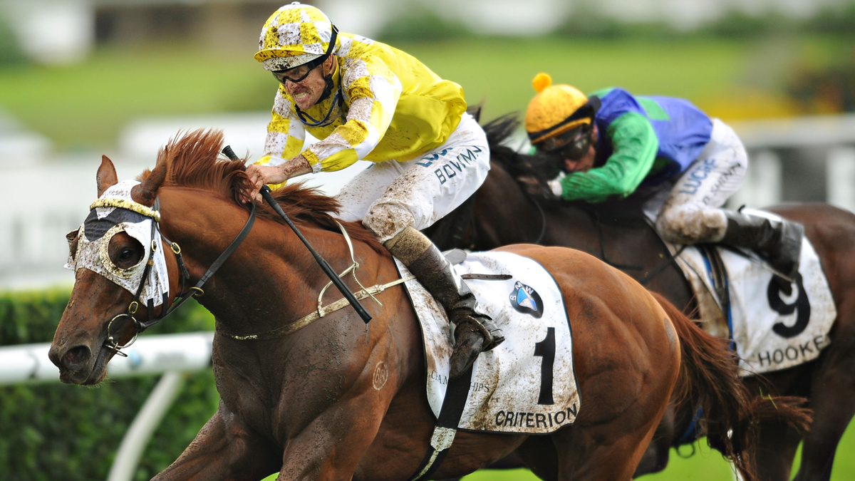Horse Racing Terms Horse Racing Terms