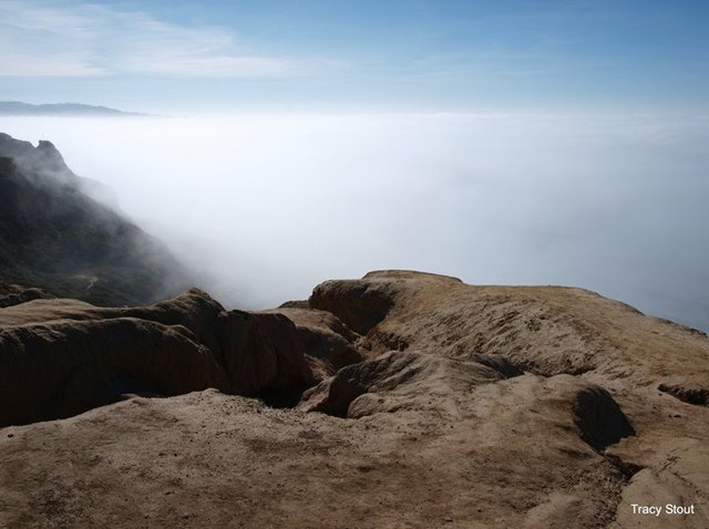 Torrey Pines Hike