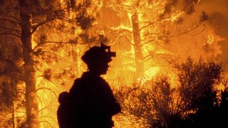 101308Wildfire generic