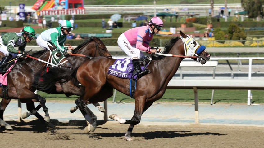 30th Running of the Breeders' Cup World Championships - Day 2