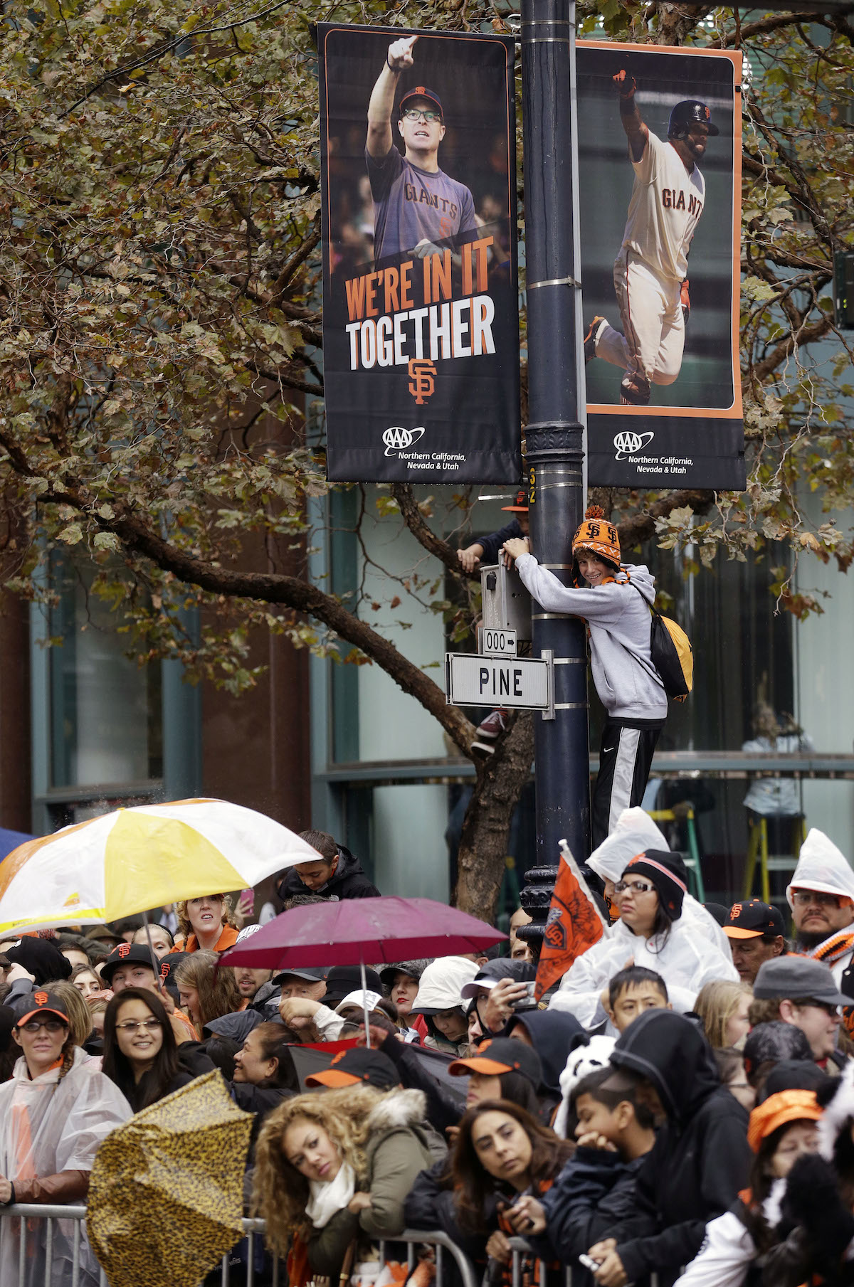 Viva Los Gigantes!. Every September during Fiesta Gigantes…, by San  Francisco Giants