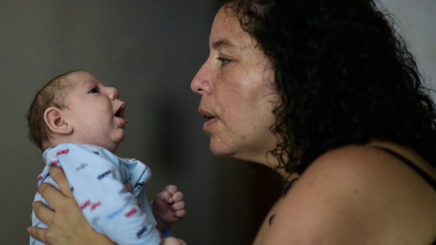 Puerto Rico Zika Birth Defect against