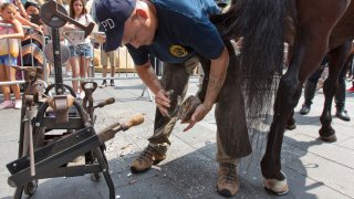 Police Horseshoe Fixers