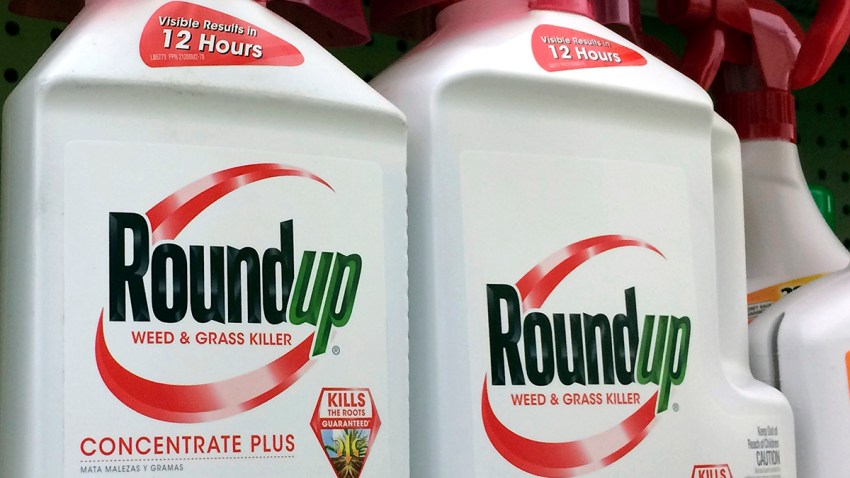 Roundup Weed Killer Cancer