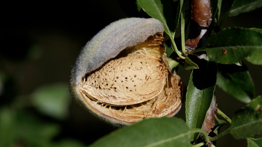 California Pesticide Restriction