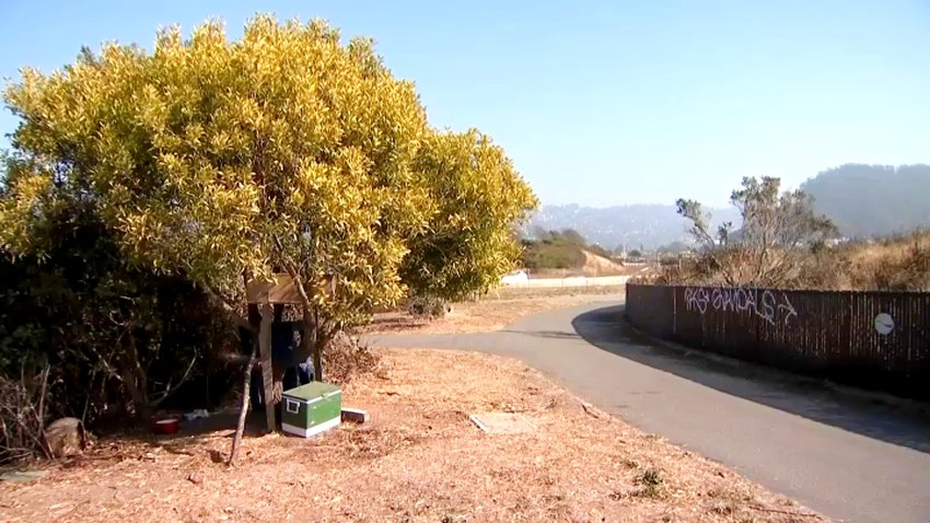 Arrow shooting