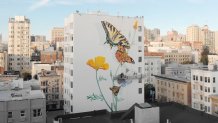 the side of a building displays several butterflies of different colors, painted in a giant mural