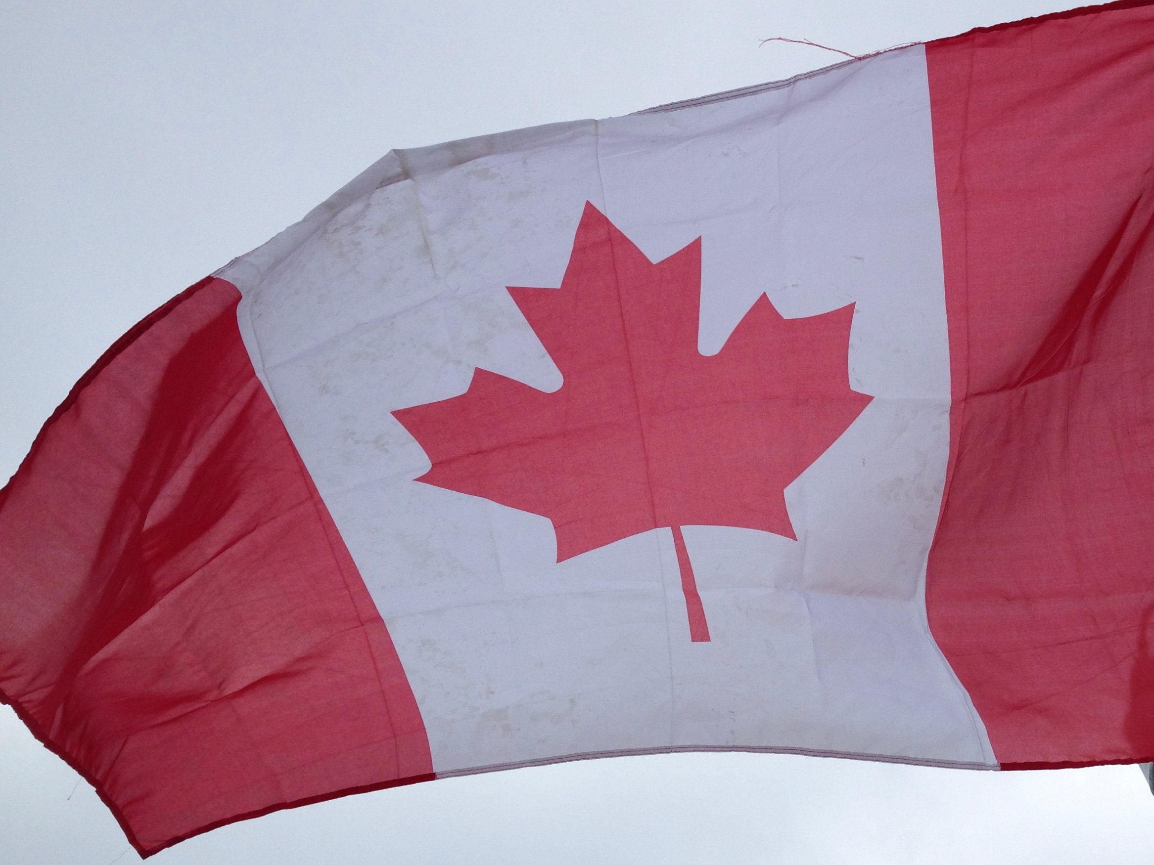 What to know about Trump 50 % tariffs on Canadian goods – NBC Bay Area
