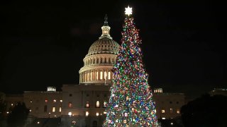 Capitol Christmas Tree 120419
