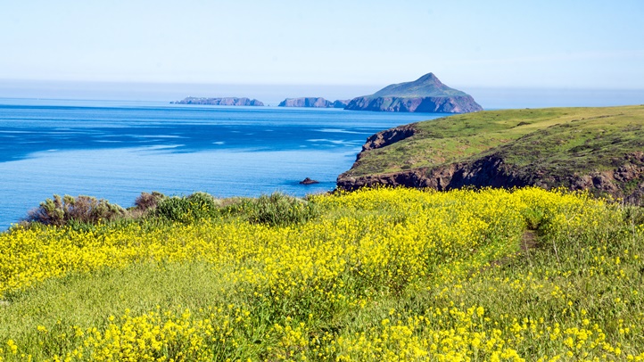 ChannelIslandsSantaCruzIslandCreditVisitVentura