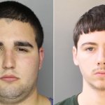 DiNardo and Kratz bipanel