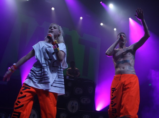 Die Antwoord-8