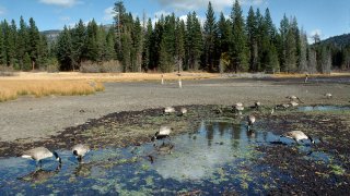 October 1992: Near Lake Tahoe