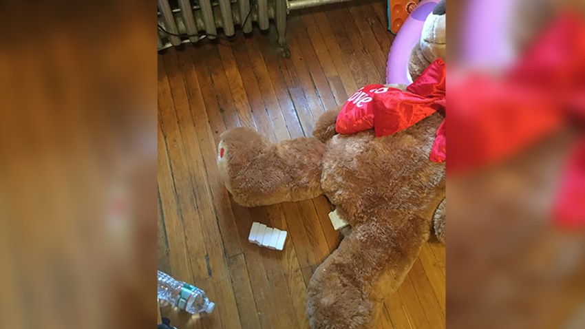 Drug Teddy Bear
