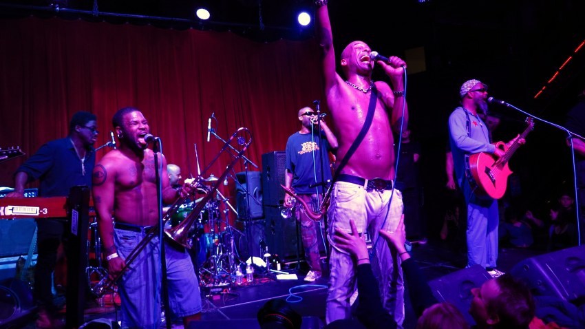 Fishbone2