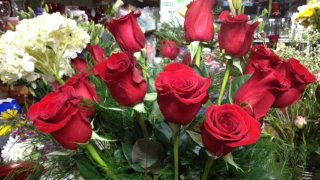 Flower Wonderland Branford Valentine's Day 722