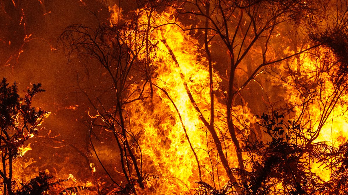 4th of July Fires Down From Last Year, Despite County's Biggest Grass Fire of 2021 - Vimarsana News