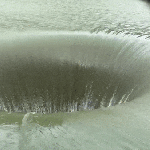 GLORY-HOLE-DUCK1