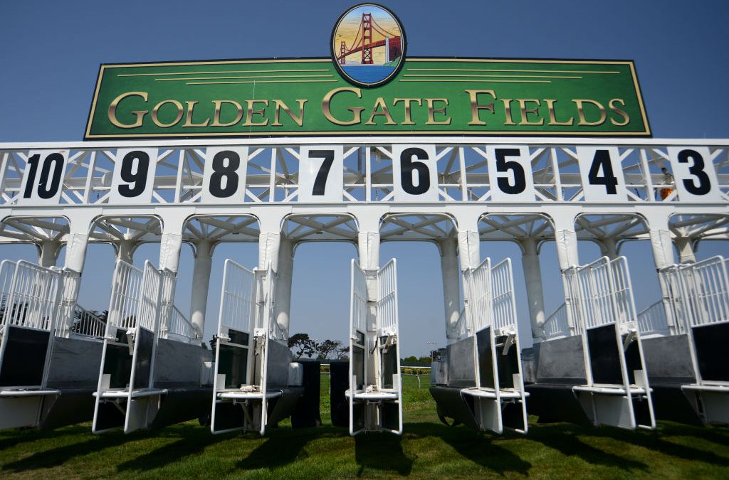 Filly Dies at Golden Gate Fields, Second Horse to Die in 2021 - Vimarsana News