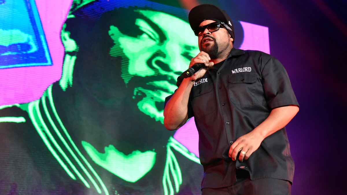 Ice Cube Sues Menlo Park-Based Robinhood for Trademark Infringement ...