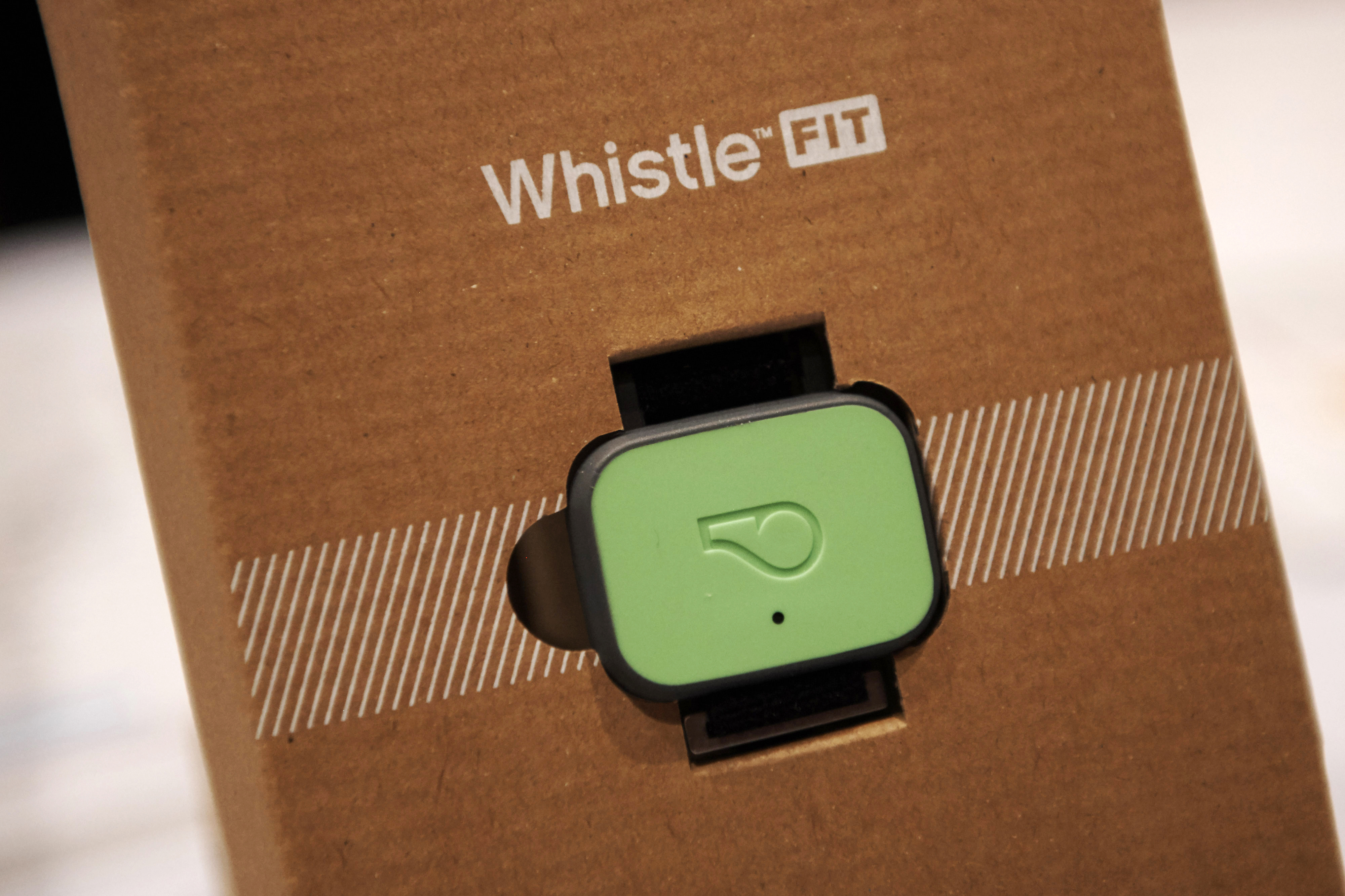 Whistle Labs Inc. Fit, a wearable health and fitness tracker for pets, displayed at CES 2020 in Las Vegas, Nevada, Jan. 7, 2020.