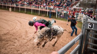 File photo - Tyler Fender, 17, is bucked off a bull during the Cowboy Mardi Gras Bull Riding and Mini Bull Riding Competition in Bandera, Texas, on Feb. 15, 2020.