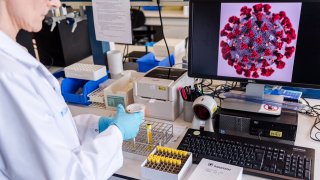 In this Feb. 28, 2020, file photo, a coronavirus patient sample detection test is seen in the virology research labs at UZ Leuven University Hospital in Leuven, Belgium.