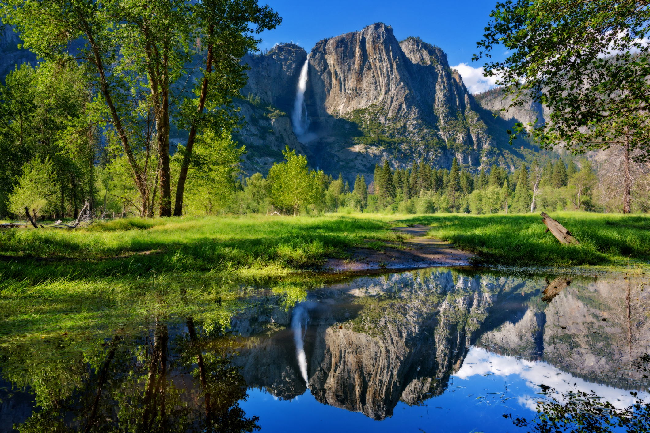 Let’s Look Back at Yosemite’s Ethereal Waterfalls – NBC Bay Area