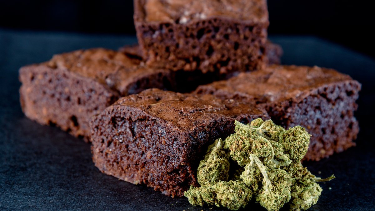 South Dakota Man Arrested After His Mom Accidentally Serves Pot Brownies to Seniors – NBC Bay Area - Vimarsana News