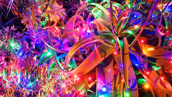 Gorgeous lightsjohnbryant