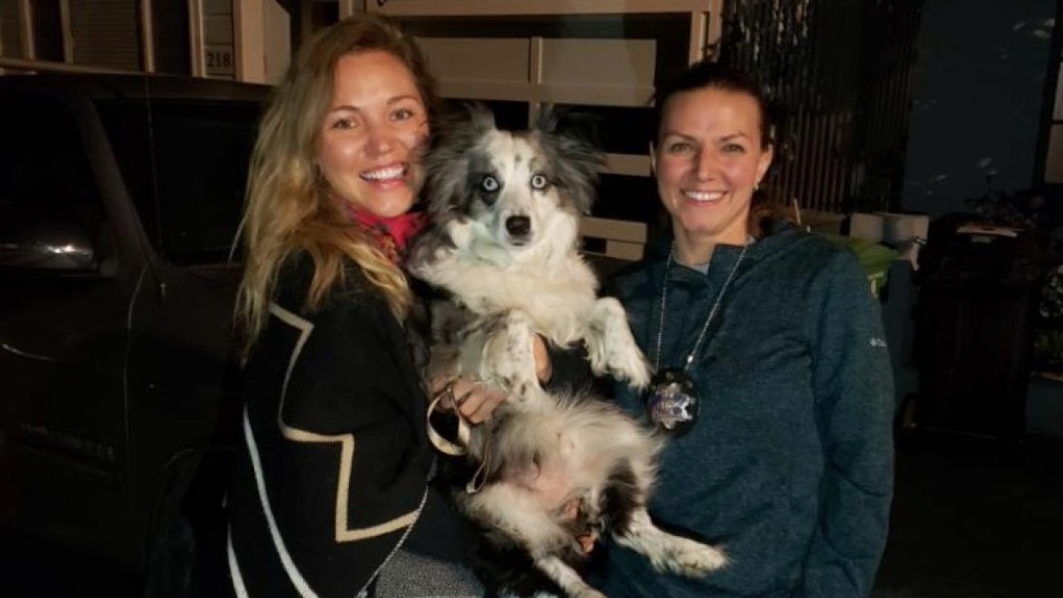 San Francisco Woman Reunites With Her Dog Who Was Stolen Months Ago ...