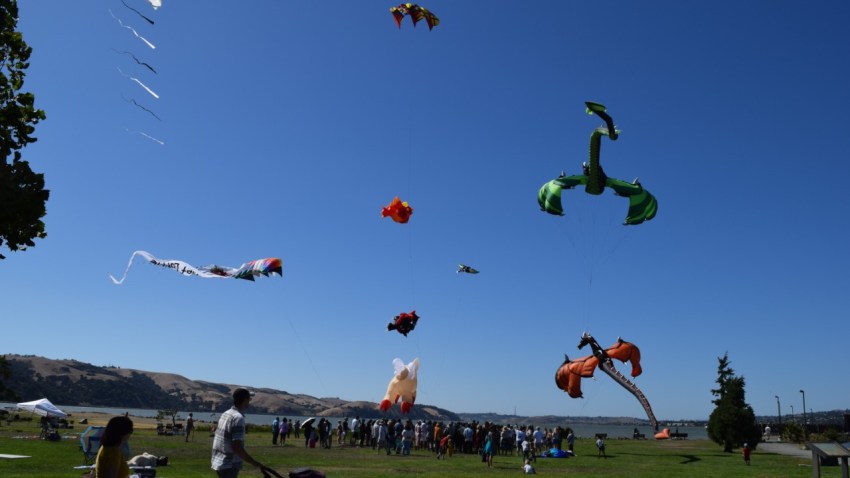 Kite-Wedding (1)