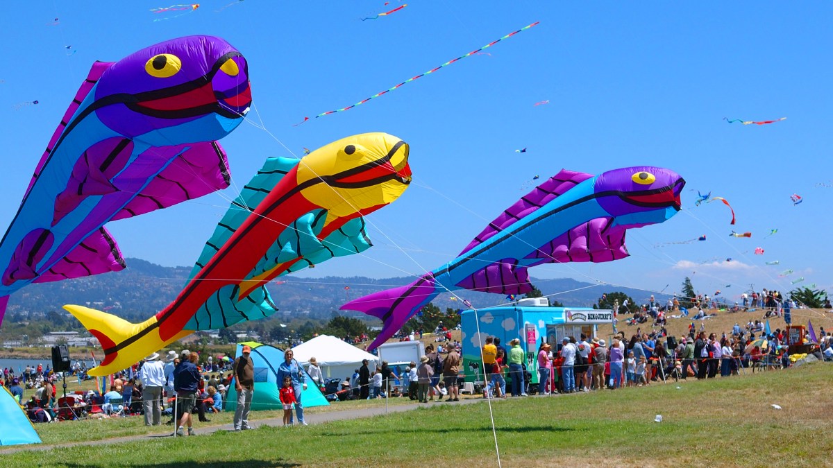Berkeley Kite Festival NBC Bay Area