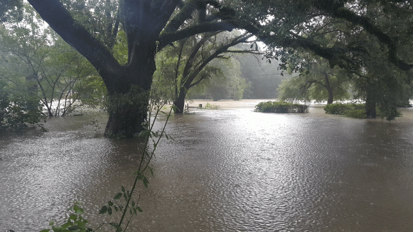 LA_FLood