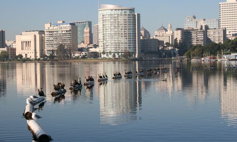 LakeMerritt1