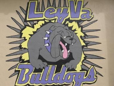 LeyVaMS