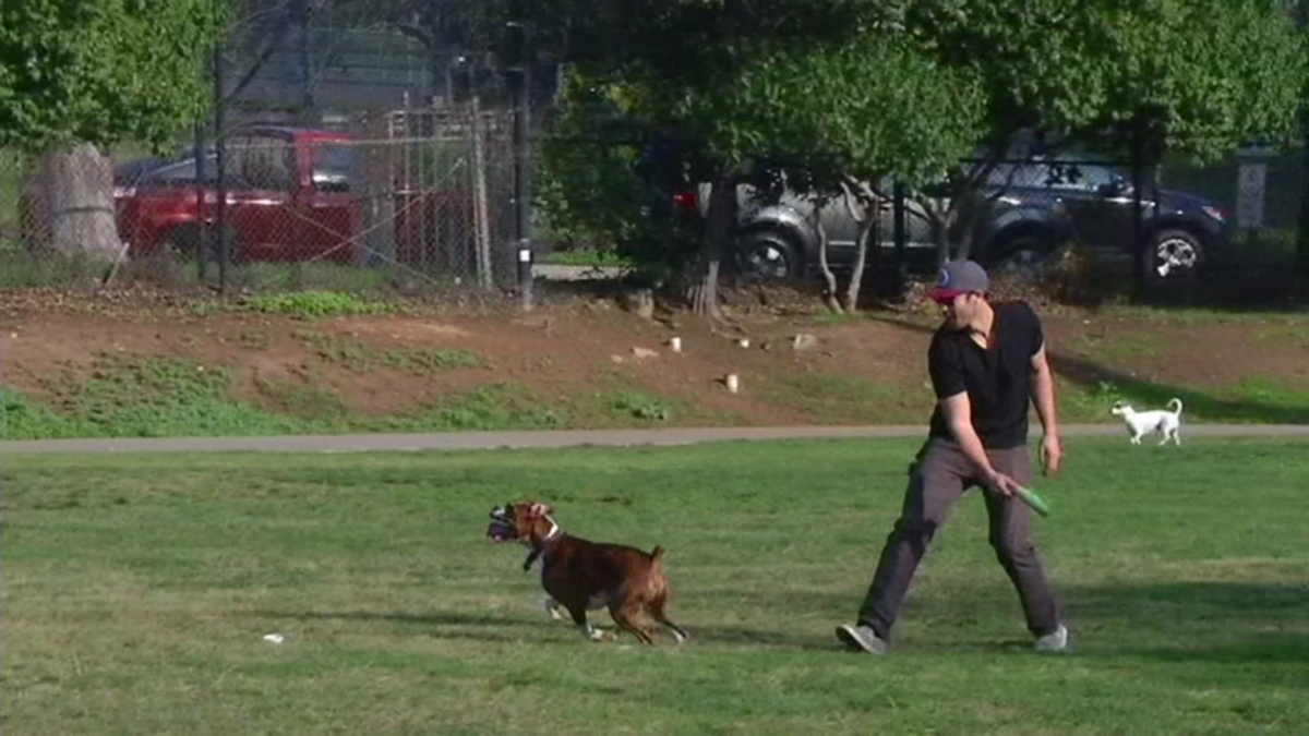 Bay Area Dog Owners Fight Impending OffLeash Laws for U.S. Parks NBC
