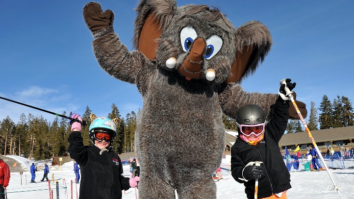 MammothLeapYear