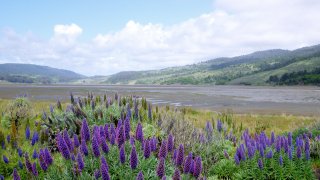 Marin County Parks 8